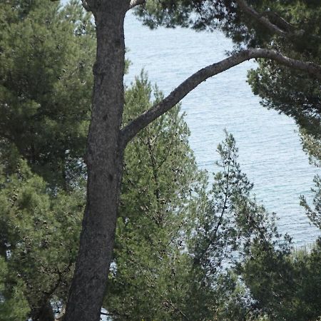 Residence Alouettes Ιέρ Εξωτερικό φωτογραφία