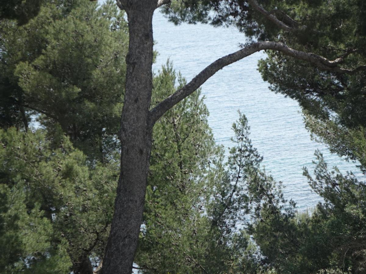 Residence Alouettes Ιέρ Εξωτερικό φωτογραφία
