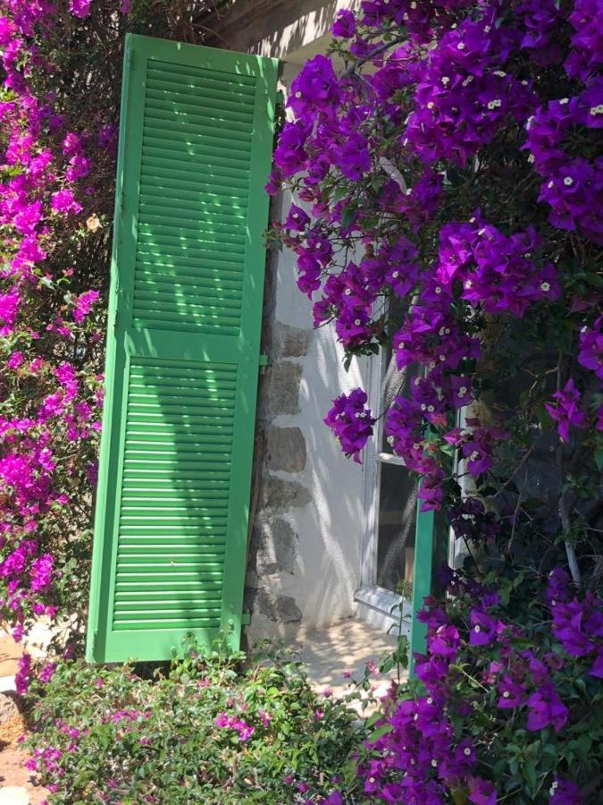 Residence Alouettes Ιέρ Εξωτερικό φωτογραφία