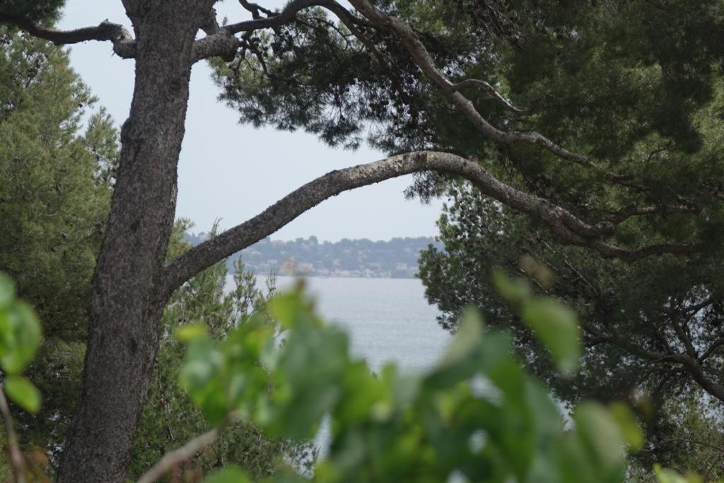 Residence Alouettes Ιέρ Εξωτερικό φωτογραφία